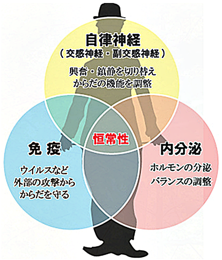 知らなかった・・」では済まされない！「環境ホルモン」の危険性とは 