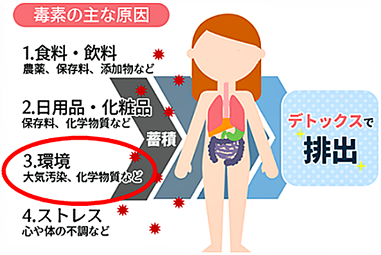 あなたの子供は大丈夫？「環境ホルモン」が子供に与える影響と、その 