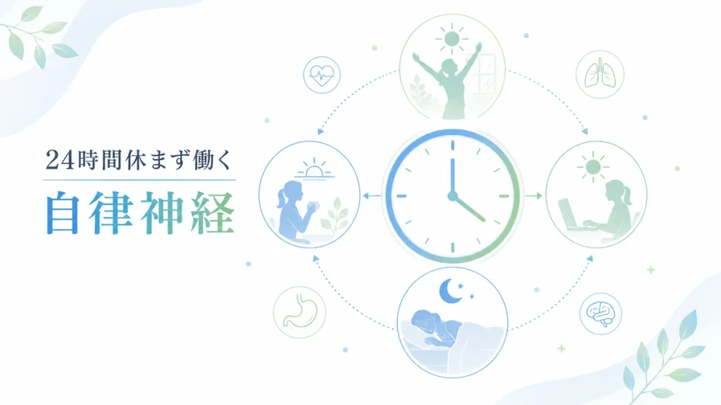 自律神経が全身の臓器をコントロールするイメージ