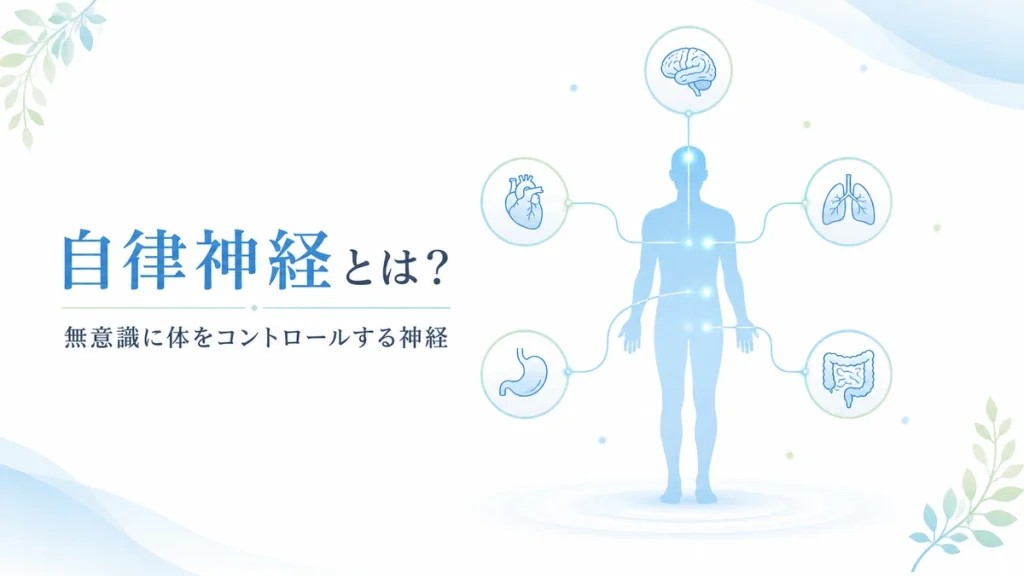 自律神経とは何かをわかりやすく解説したイメージ