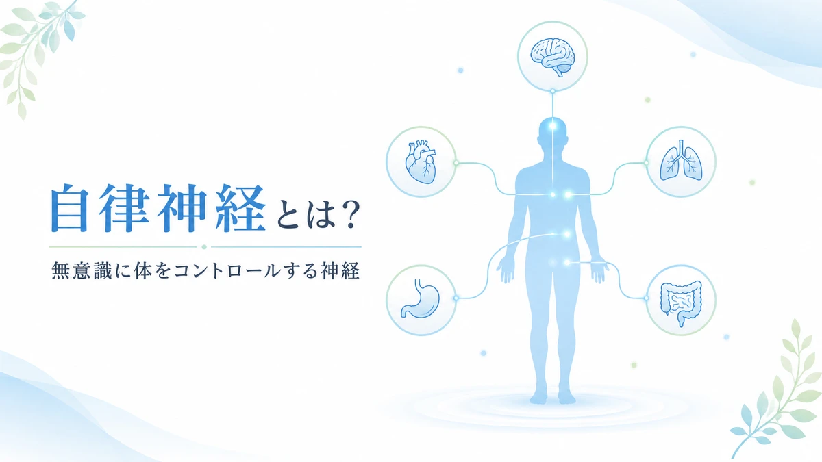 自律神経とは何かをわかりやすく解説したイメージ