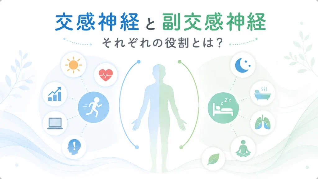 交感神経と副交感神経の違いを表したイラスト