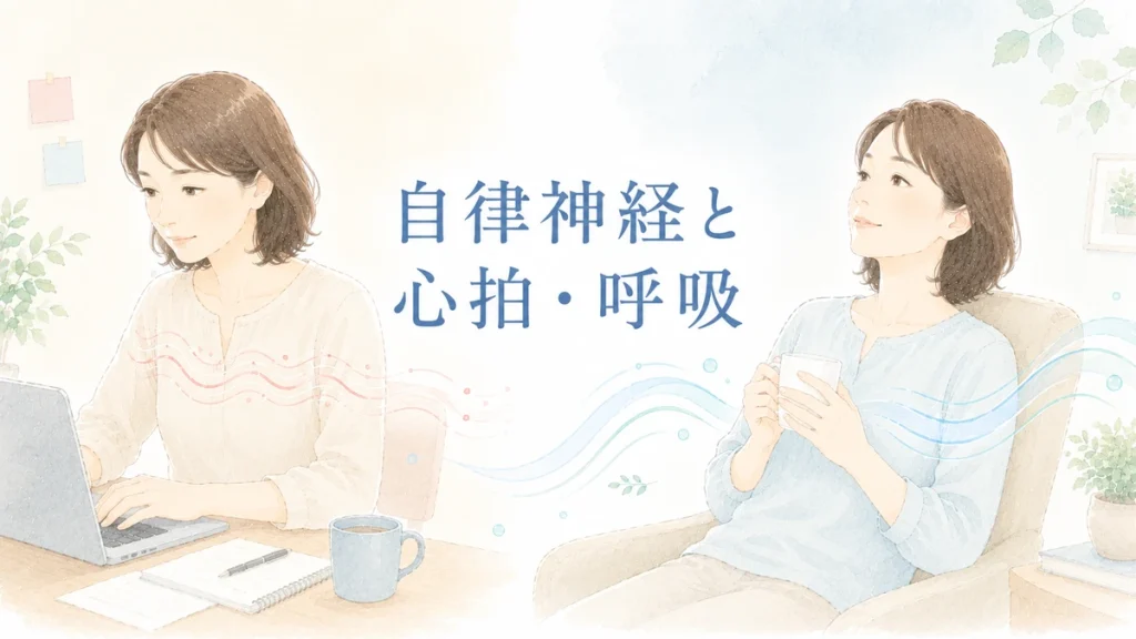 自律神経による心拍と呼吸の変化を表すイラスト