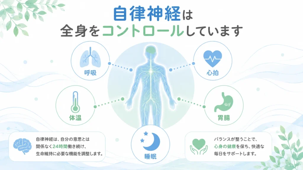 自律神経失調症の仕組みを説明するイラスト