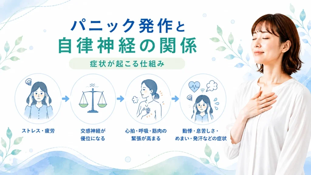 パニック発作と自律神経の関係や、症状が起こる仕組みを分かりやすく解説したイラスト