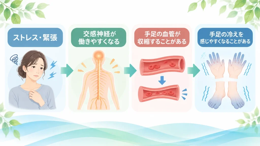 ストレスや交感神経の働きと手足の血流・冷えの関係を示した図