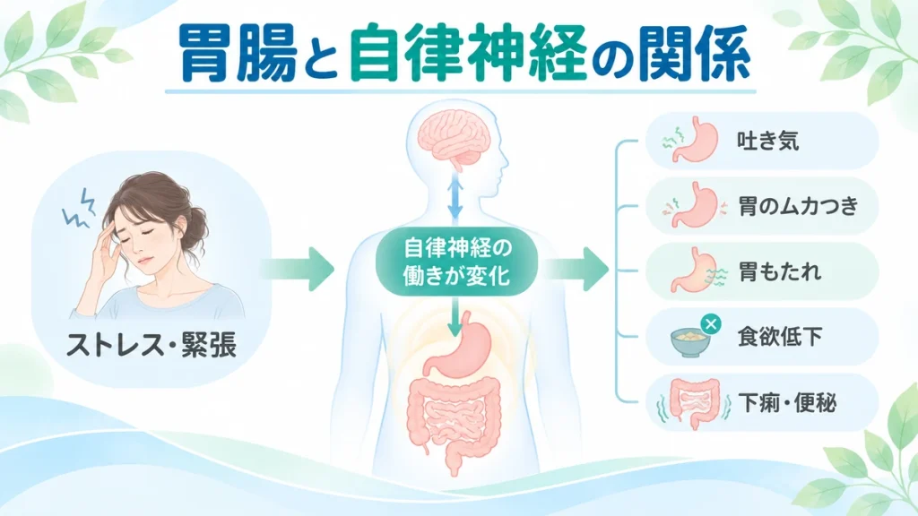 自律神経と胃腸の働きの関係を示した図