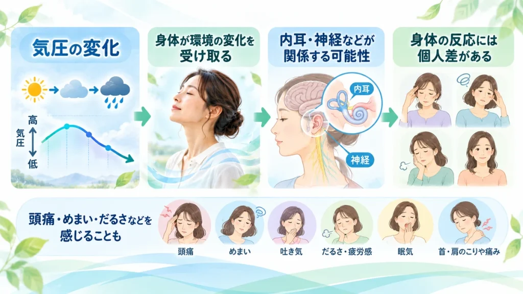 気圧の変化と内耳や身体の反応の関係を示した図