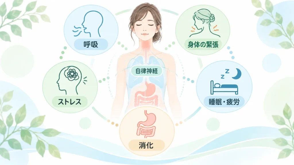 のどの違和感と呼吸や筋肉の緊張、睡眠など身体全体の状態との関係を示したイメージ