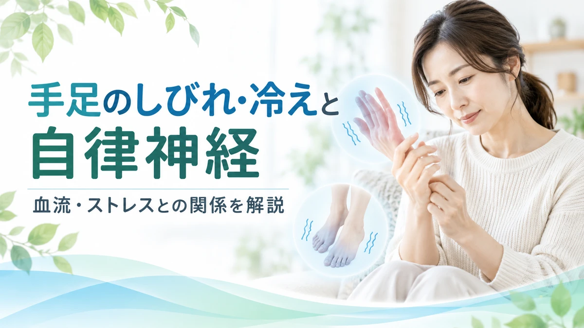 手足のしびれ・冷えと自律神経や血流との関係を解説するイメージ