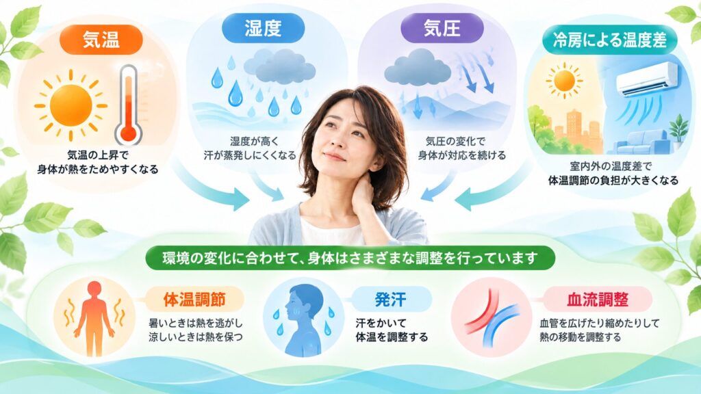 梅雨から夏の気温・湿度・気圧・冷房による温度差と身体の調整を示した図